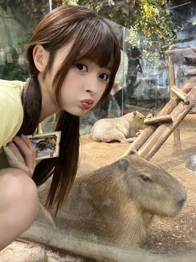 破地狱 封面